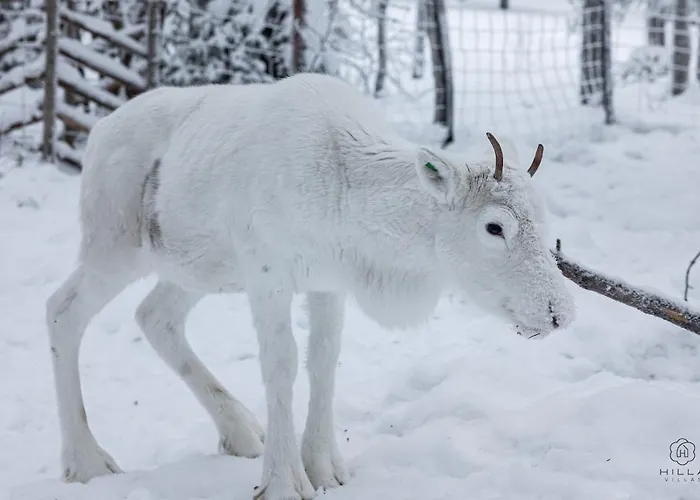 North Serene 18a By Hilla Apartamento